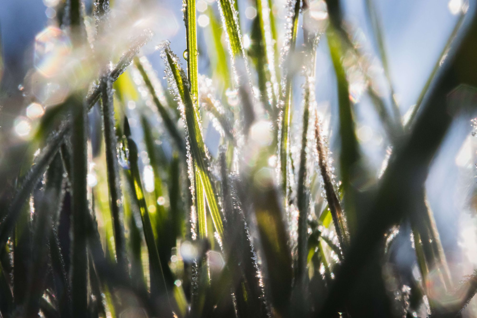Melting ice Photo by Greg Rosenke on Unsplash