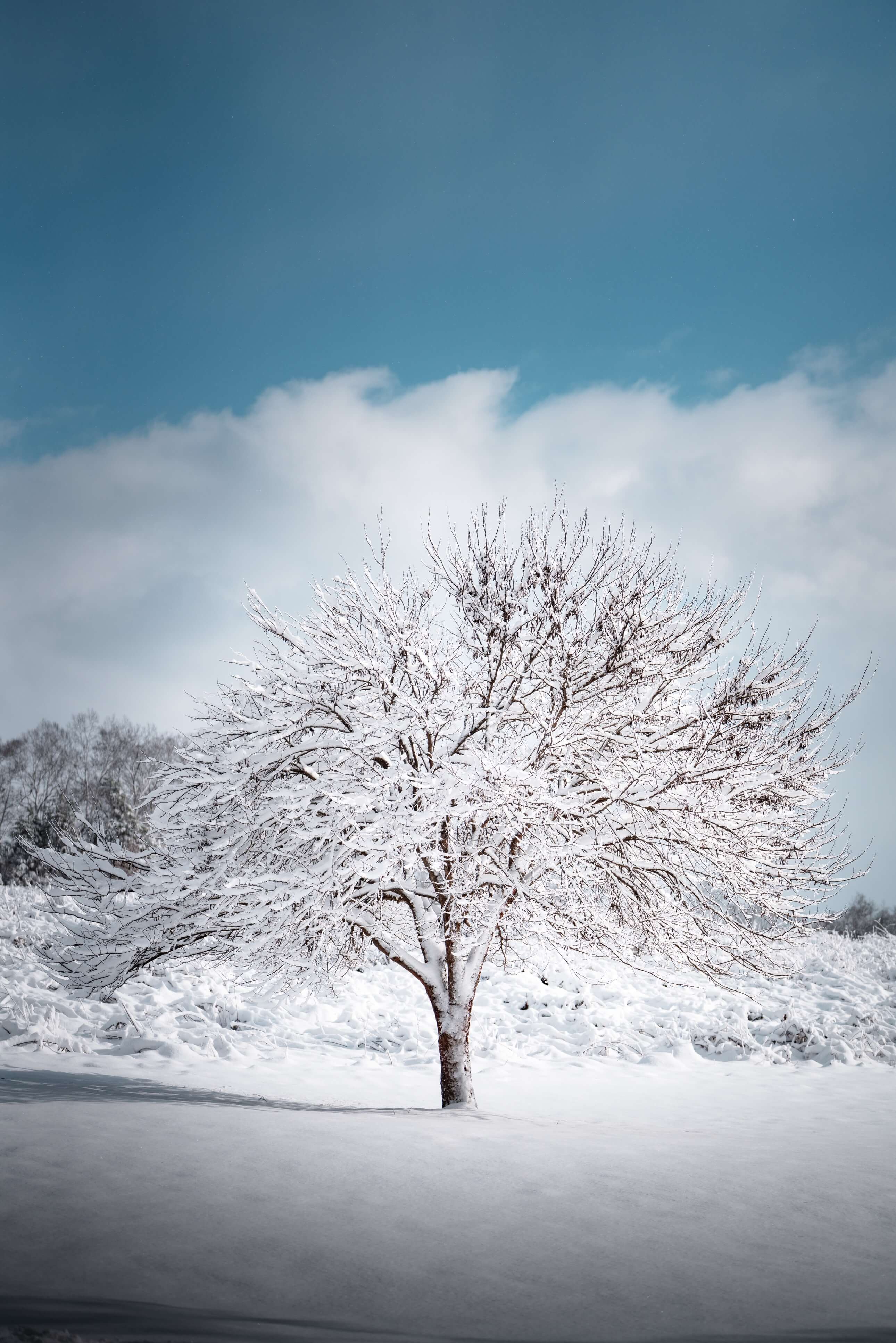 Photo by @heyjakejohnson on Unsplash