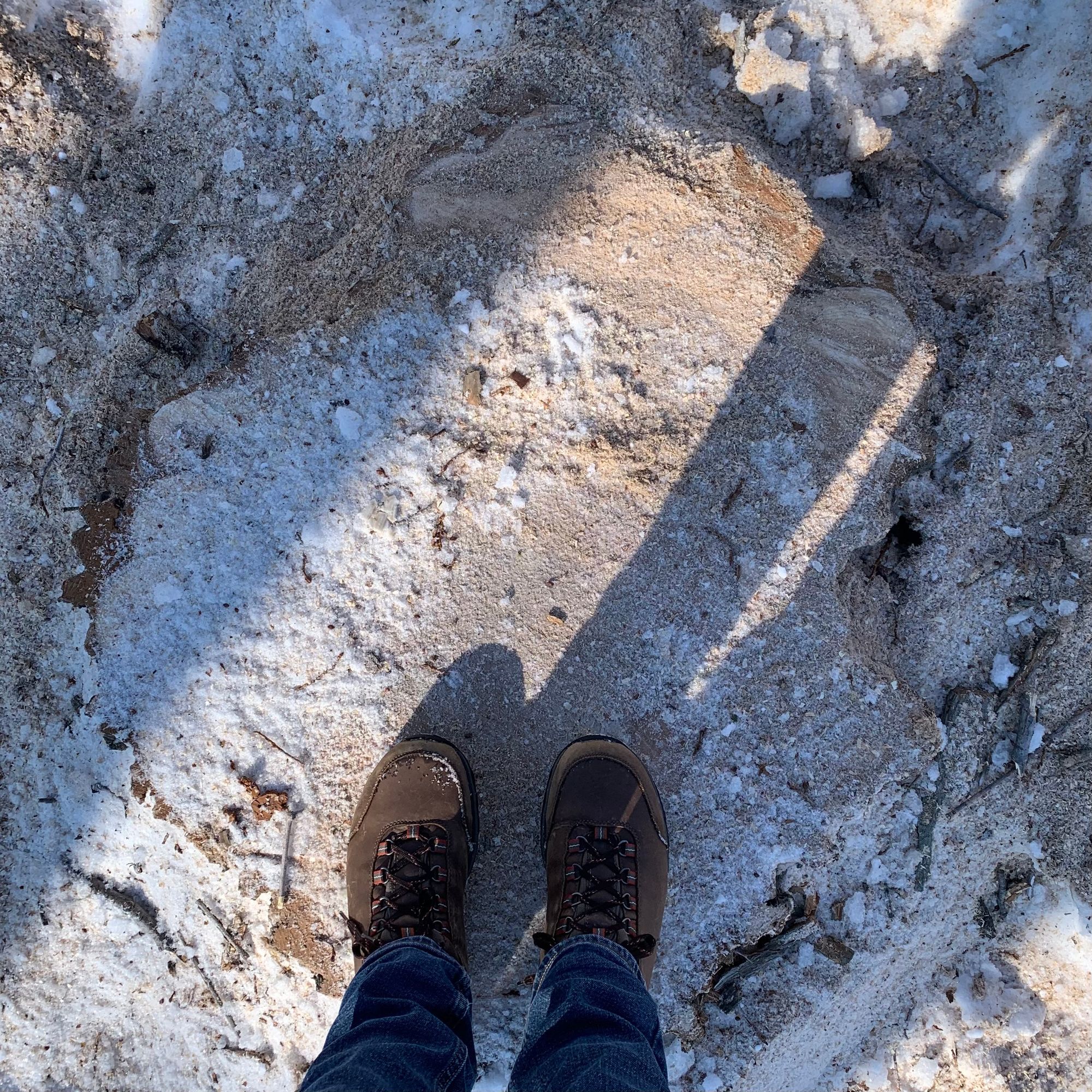 A photo of me standing on what remains of the big tree that was in our front yard before the city had to chop it down and access the broken sewer line that was backing-up into our house.