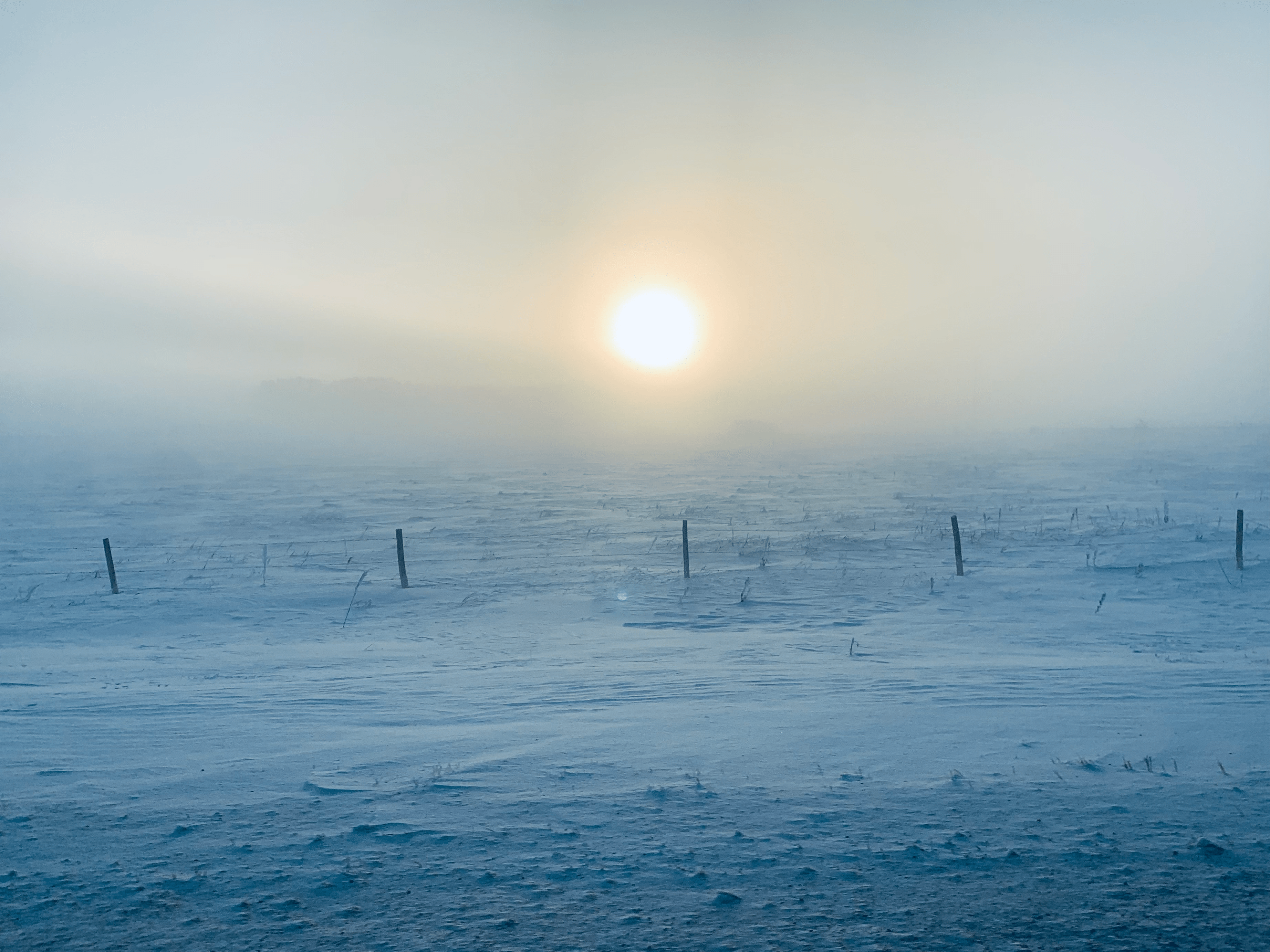 Sunrise over a snowy field on a frosty, cold day.
