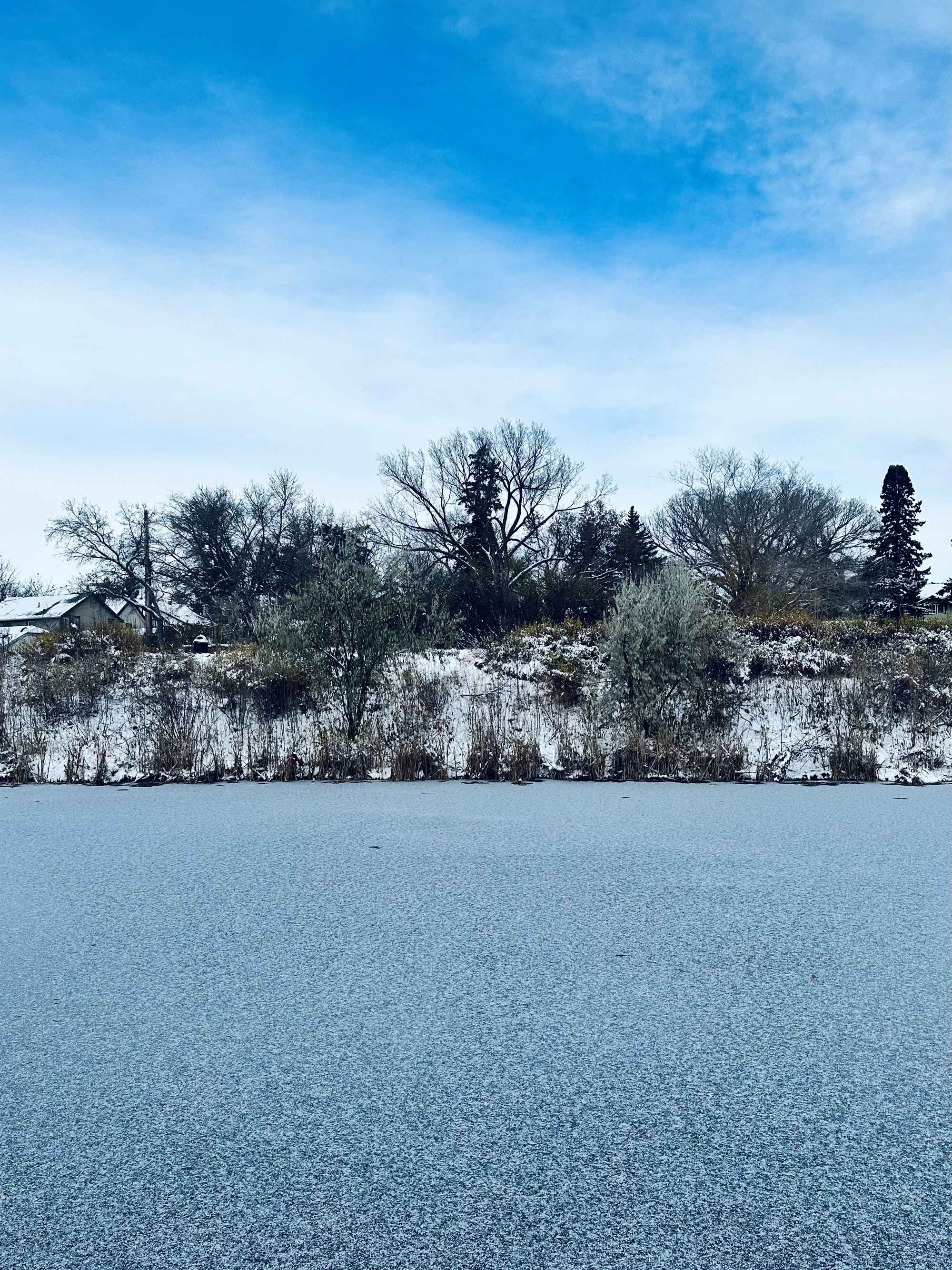 Ice on the creek