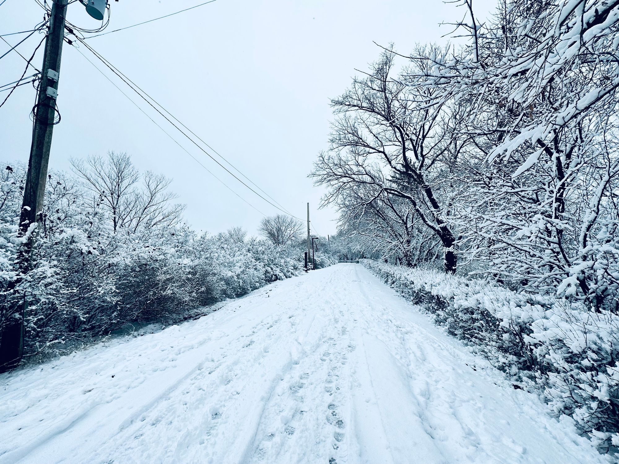 A return of snow