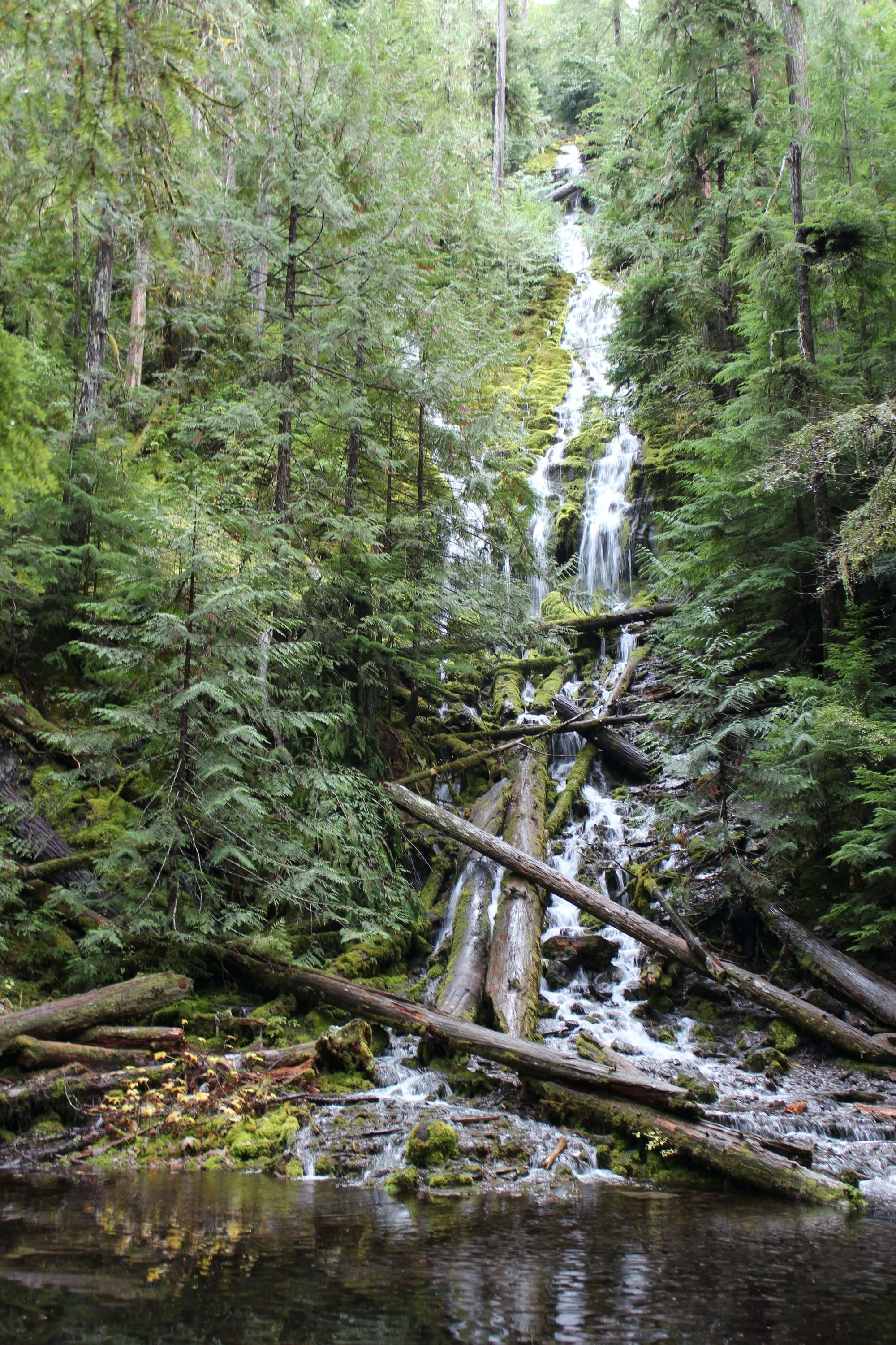 Log Jams and the Creativity Faucet